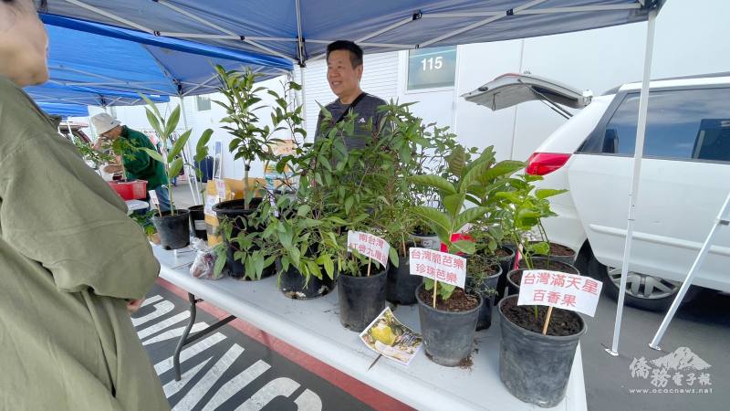 各種臺灣果樹、菜苗讓園藝愛好者滿載而歸