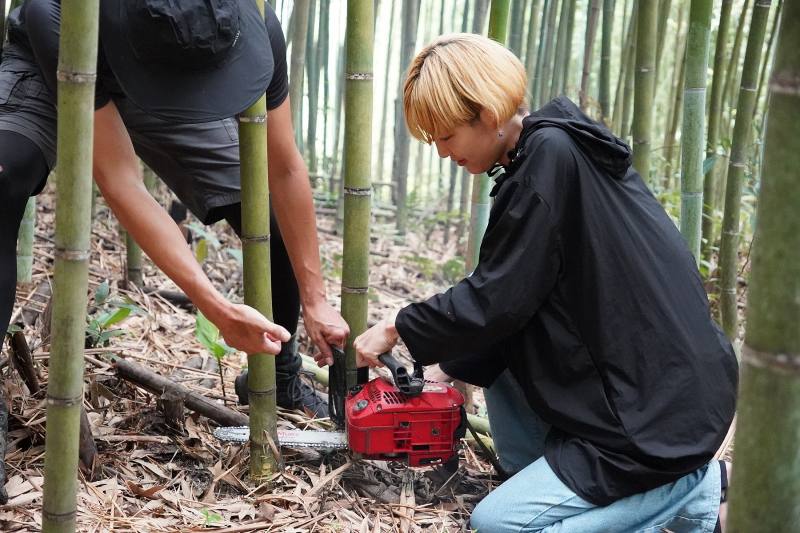 桃園卡普青年壯遊點帶領青年動手伐竹，騰出空間以利於新生的竹苗
