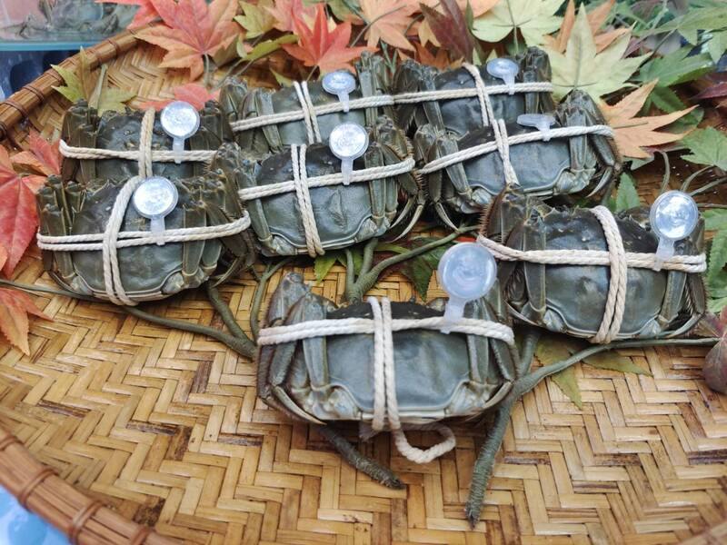 苗栗縣政府2日表示，苗栗優質大閘蟹預計國慶連假上市開賣，且上市前須經64項藥物及戴奧辛殘留檢測合格，才能取得專屬防偽蟹環，消費者務必認明。