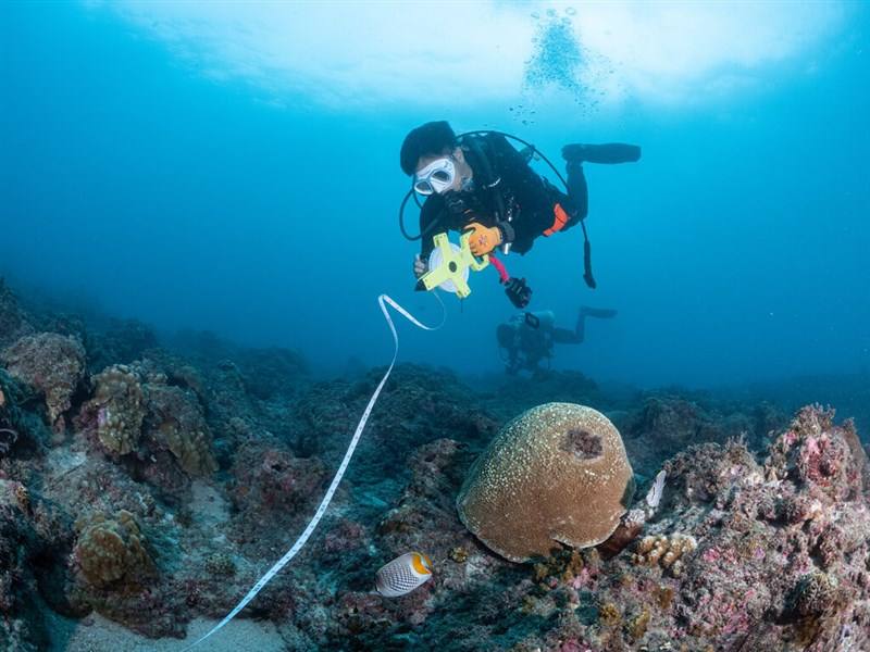 Greenpeace personnel conduct investigation in waters near the coast of Xiaoliuqiu in this undated photo. Photo courtesy of Greenpeace Oct. 18, 2023