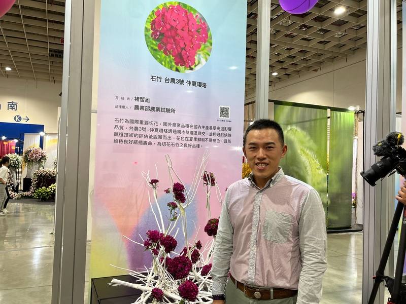 農糧署10日起在南港展覽館舉辦第3屆台灣花卉品種推介會，農試所約僱人員褚哲維表示，育成的新品種石竹「台農3號 仲夏瓔珞」可全年生產，且夏天不會像老品種有褪色情況，預計年底技轉出去，可在母親節時推廣使用、銷售。