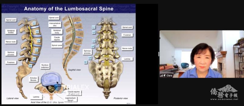 薛正和介紹腰椎、椎間盤的結構及功能