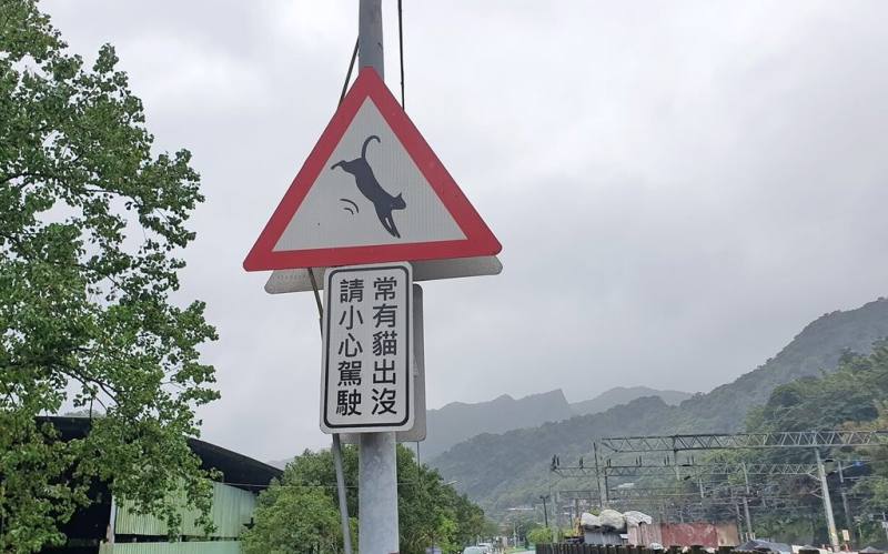 新北市農業局表示，為了防範路殺，動保處請交通局在瑞芳猴硐貓村設置「常有貓出沒、請小心駕駛」的告示牌。（新北市農業局提供）