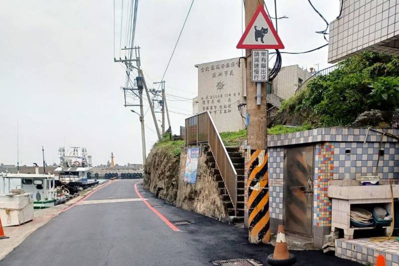 新北市農業局表示，動保處請交通局在瑞芳區鼻頭漁港設置「常有貓出沒，請減速慢行」交通告示牌，以防止發生路殺意外。（新北市農業局提供）
