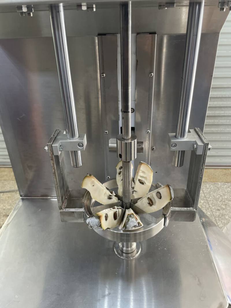 台東區農改場對市售鳳梨削皮機進行改良，推出每小時可處理120顆冷凍鳳梨釋迦機械，削皮後可直接將果實分切成6瓣，並去芯，提升衛生品質，並避免人力疲勞。（台東區農改場提供）