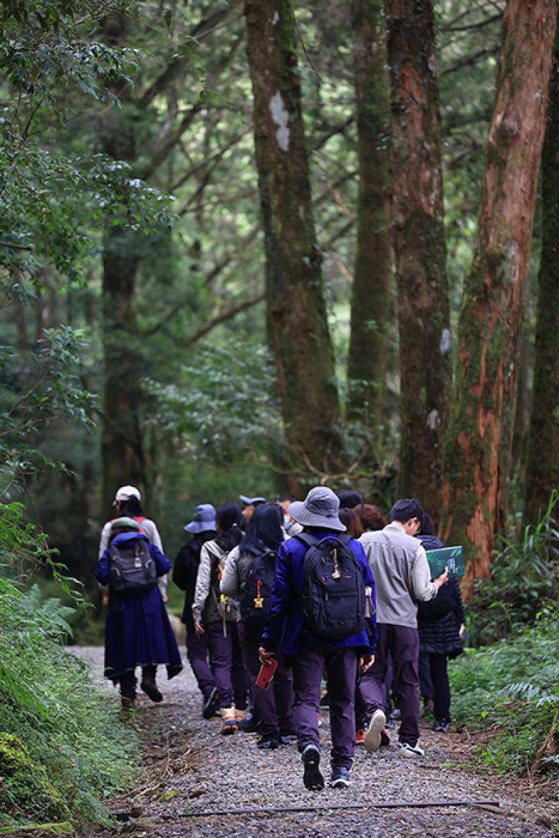 到水山步道進行森林療癒，可幫助減輕壓力、焦慮和憂鬱等負面情緒，同時又可以增強身心健康和免疫力。