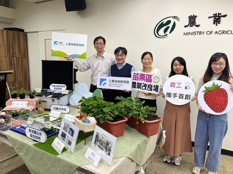 農業部苗栗區農業改良場6日舉行記者會，公布與工研院合作開發的「植物病害快篩行動箱」，具備檢測快速、精確度高、可現地操作及成本大幅降低等特色，可助防治豐香草莓首要病害炭疽病。
