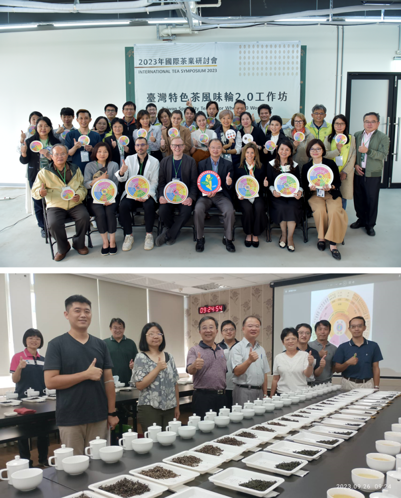 風味輪2.0版工作坊(上圖:4/26國際場、下圖:9/26茶改場評審場)