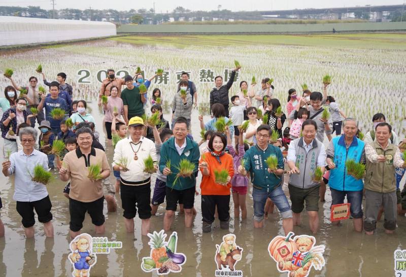 為迎接2024年屏東熱帶農業博覽會，屏東縣長周春米（前左5）23日揭曉彩繪稻田主題為「經典泰迪熊」，並率眾人下田體驗插秧。（屏東縣政府提供）