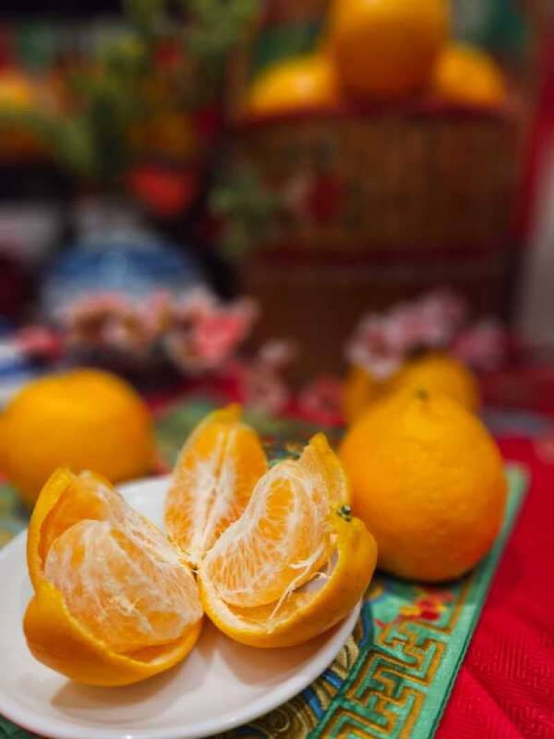 新年將屆，台灣椪柑也在大馬上市，馬來西亞官方新聞社等媒體報導台灣椪柑果肉甘甜多汁，認為台灣椪柑（圖）走精品化路線，品種、口感都和中國不同。