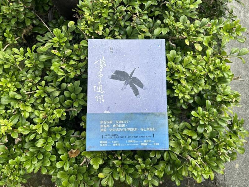 詩人崎雲寫與自己患思覺失調症的母親共處，與自身疾病纏鬥以及生命中的生離死別，完成散文集「夢中通訊」，近期出版。（寶瓶文化提供）