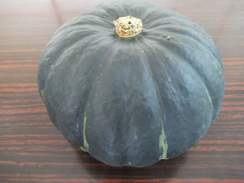 農業部高雄區農業改良場指出，南瓜可做成各種美食，但各種料理有適合的品種，例如製作南瓜濃湯宜用栗子南瓜，且要依據果皮顏色、果梗顏色、有無果粉、果肉顏色及厚度等5大眉角（園藝性狀）挑選。（高雄農改場提供）