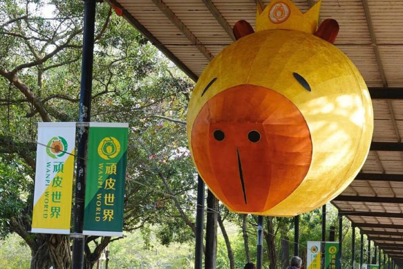 台南頑皮世界動物園打造1座長、寬、高各約3公尺的巨型水豚燈籠，掛在園區入口處廊道，吸引遊客目光。（頑皮世界提供）