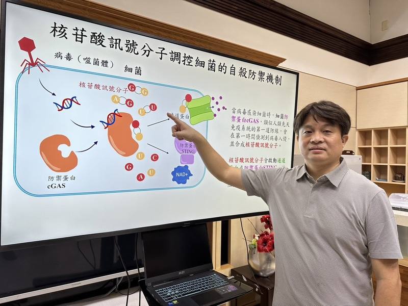 中興大學舉行記者會表示，食品暨應用生物科技學系副教授陳曄（圖）的研究團隊，投入細菌與病毒抗衡機制研究10年，發現新型核苷酸訊號分子-環雙嘧啶核苷酸，有助新型抗生素藥物開發。