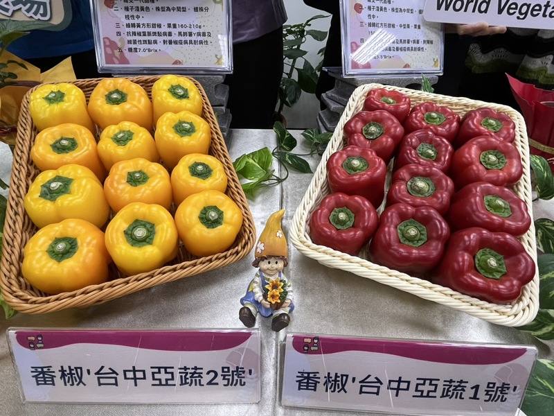 農業部台中區農改場24日在台北舉辦「絕代雙椒～豐產、抗病番椒『台中亞蔬1號』與『台中亞蔬2號』」發表記者會，兩款分別為紅、黃色甜椒，費時6年育成，具備抗病性高、豐產等特性，可因應氣候變遷。