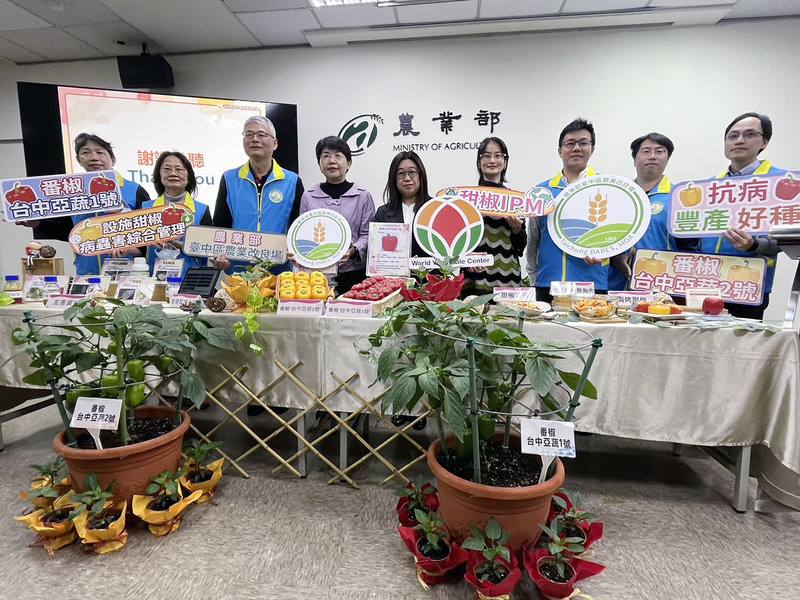 農業部台中區農業改良場攜手亞蔬中心育成抗病性高且豐產的紅色甜椒「台中亞蔬1號」、黃色甜椒「台中亞蔬2號」，24日在台北發表，預計2024年將技轉，最快2025年產出。