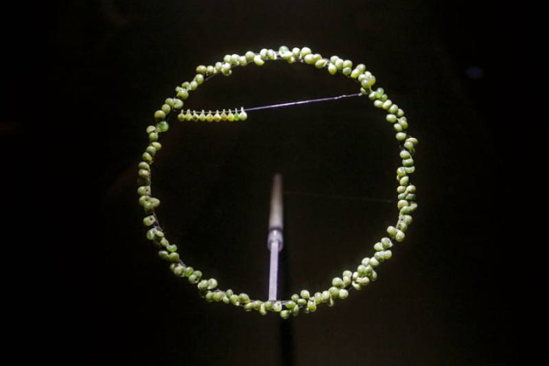 A decorative jade circlet. (MOFA file photo)