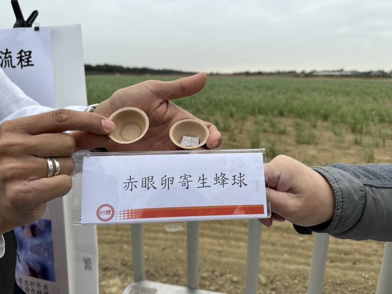 赤眼卵寄生蜂球靈感來自「扭蛋」，為純紙漿製造，在土壤可自然分解。