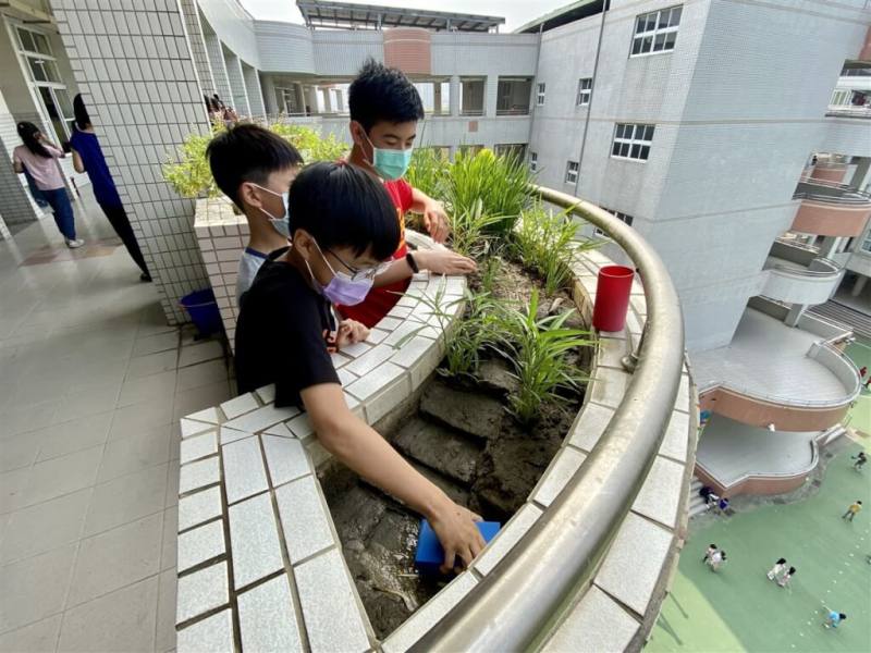 高雄市新上國小112年將9年歷程出版成書「一步蔬果‧小農雜學力：第一本校園食農全紀錄」，成為食農教育典範，透過多年經驗新上國小已發展出系統化食農校訂課程，學生在教室前耕種已成自然而然的日常景象。（新上國小提供）