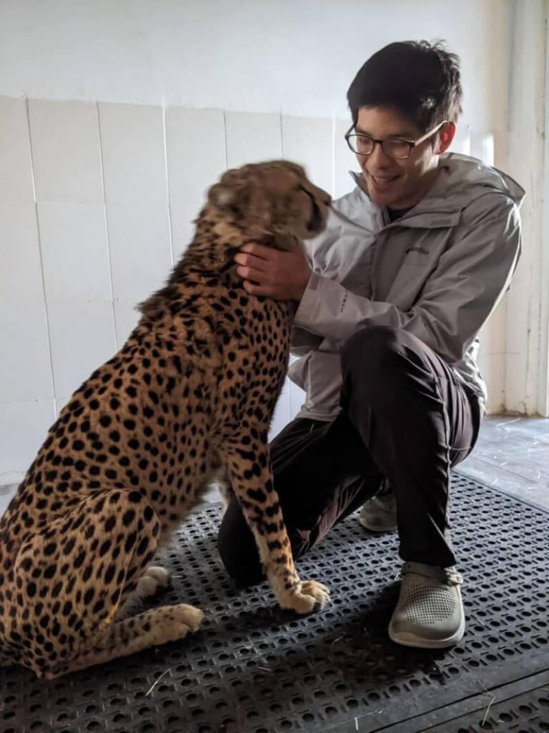 台灣獸醫陳弈凱分享與瀕臨絕種獵豹的相處經驗，呼籲更多人投入心力保育。（陳弈凱提供）