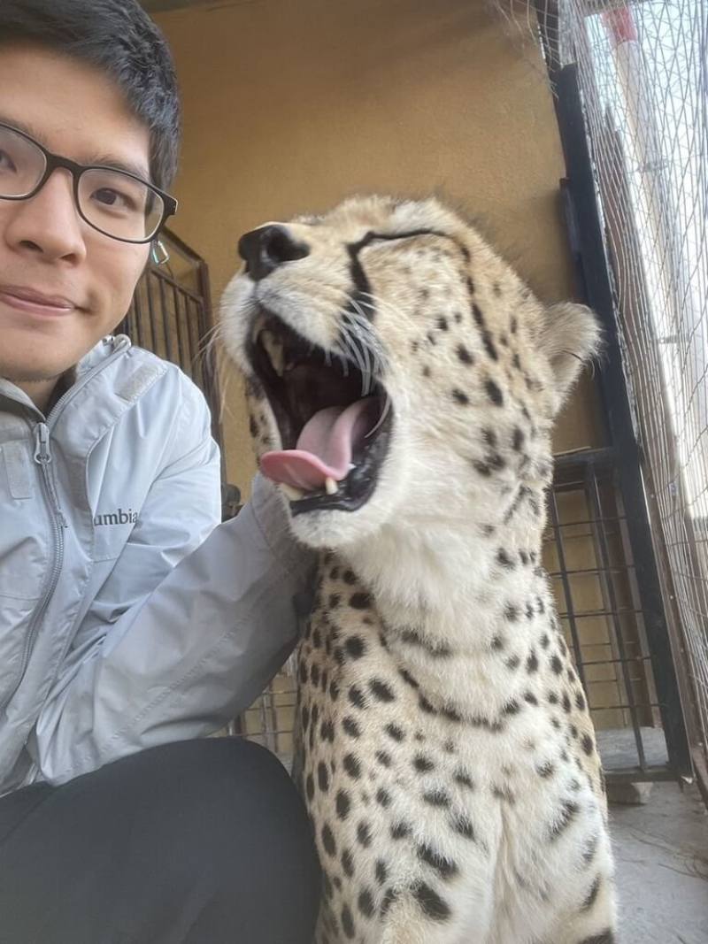 台灣獸醫陳弈凱表示，到索馬利蘭參加國合會計畫，讓他獲得難能可貴的經驗，一次見到許多瀕臨絕種的獵豹。（陳弈凱提供）