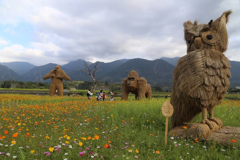 花蓮縣富里鄉稻草藝術季今年以「動物迷蹤．稻翼之歌」為主題，由各社區農民藝術家打造20多隻稻草鳥類裝置藝術