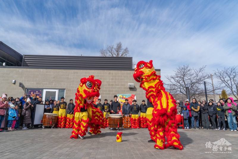 喧天鑼鼓引領兩頭靈動的醒獅，蹤低躍高，穿梭全場，表演中歡笑不斷，喜氣洋洋