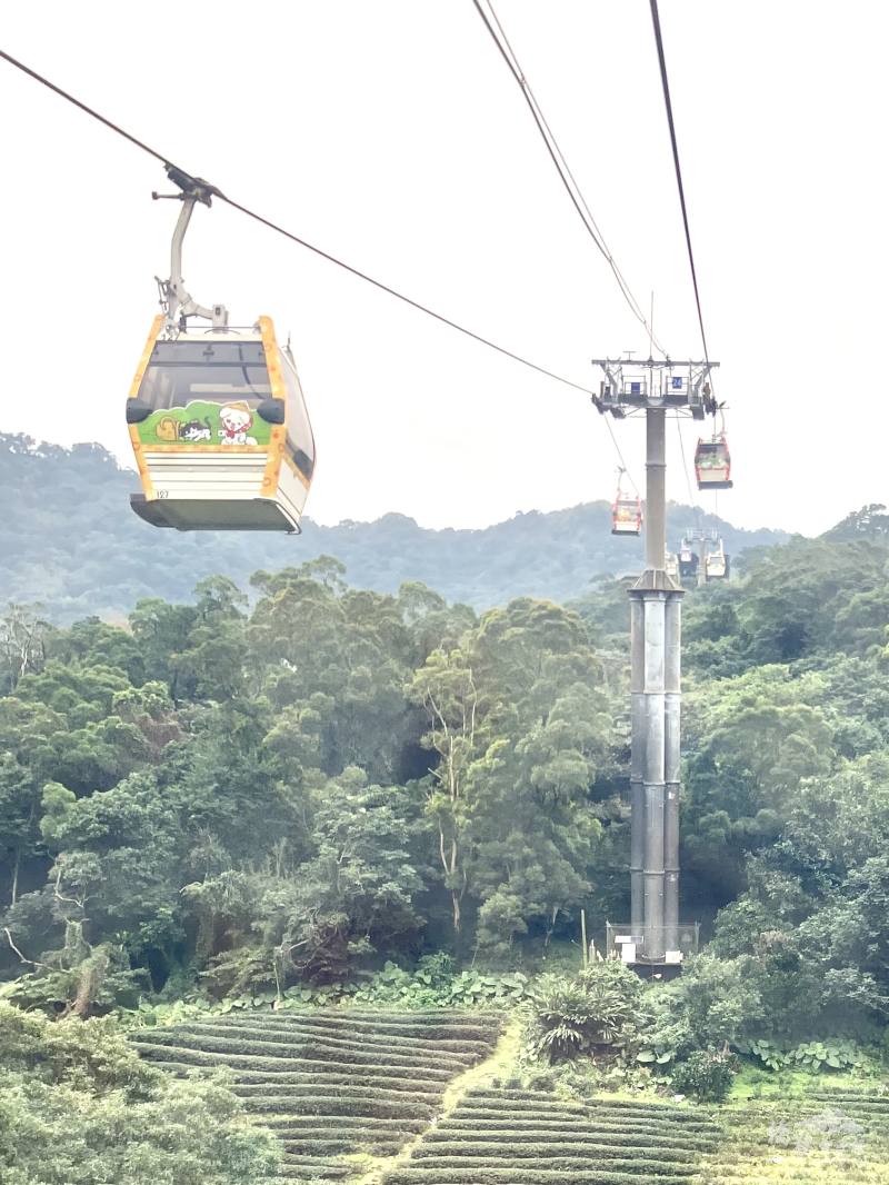 Gondolas run up and down Monkey Mountain, carrying visitors to and from the tea houses.