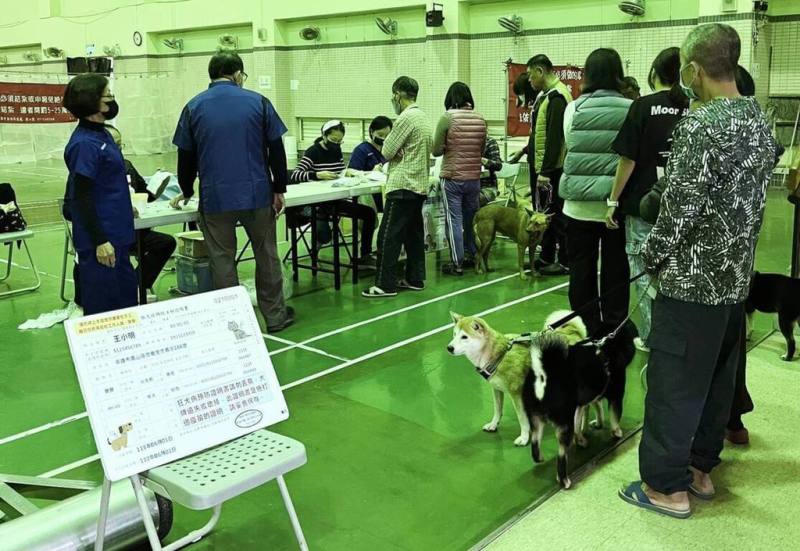 高雄市動物保護處10日舉辦偏鄉巡迴犬貓絕育三合一活動，首站到大樹區，提供犬貓絕育、狂犬病疫苗及晶片施打等服務。（高雄市動保處提供）