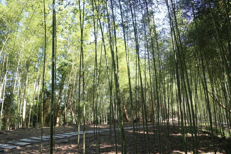 2024竹博覽會暨世界竹論壇首度在台灣舉行，花蓮是全台5大展區唯一的東部展區，並選在富里鄉以「竹生活」為主題，展示竹子在全球減碳、里山經濟、綠能環保領域的無限潛力