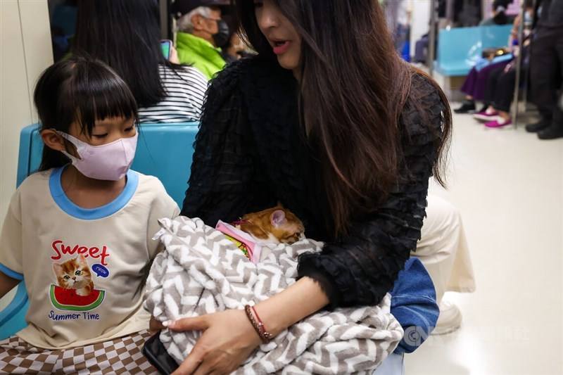 A cat is swaddled in a blanket with its owners on the Taipei Metro on Sunday. CNA photo March 31, 2024