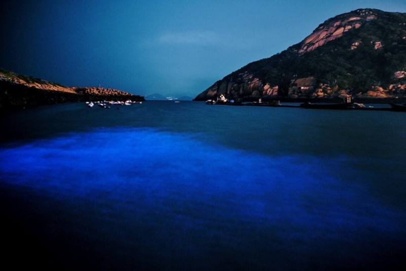 清明連假期間，馬祖各澳口「淚況」頗佳，在天候條件配合加上光害少的狀況下，遊客可欣賞經典「藍眼淚」美景。（馬祖有個周小馬追淚人提供）