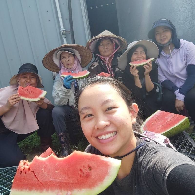 印尼華人翁蓉里（中前）與另外2名印尼青年2023年在苗栗城南有機農場實習一年，學到許多農業知識。圖為翁蓉里與印尼青年和台灣同事在休息時一起吃西瓜。（翁蓉里提供）
