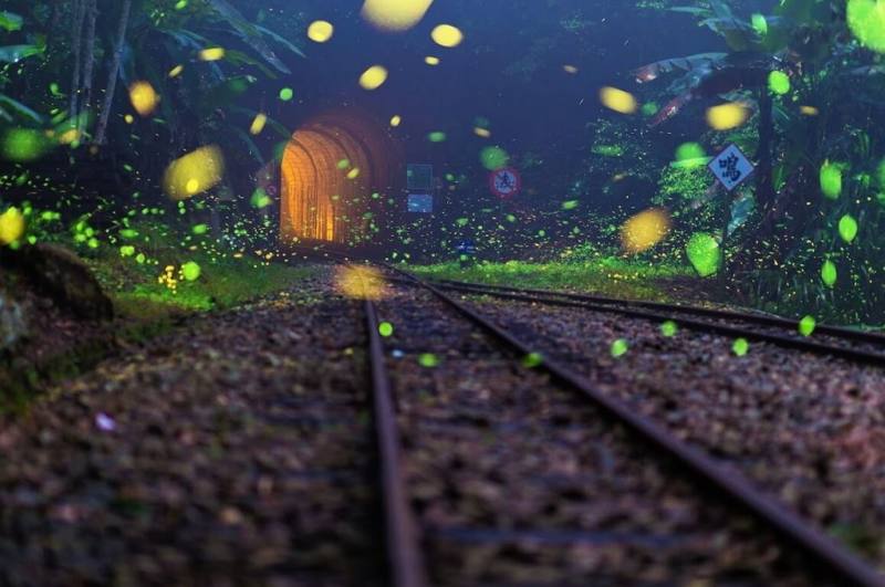 嘉義縣賞螢季開跑，文觀局指出，「螢河鐵道」美景為嘉義特有，在奮起湖車站、水社寮車站與梨園寮車站（圖）都有機會見到點點螢光妝點著鐵道的美景。（嘉義縣文化觀光局提供）