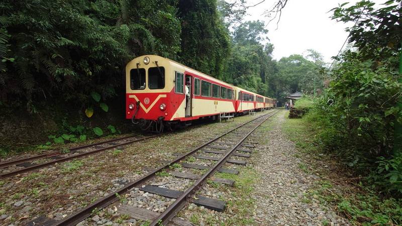 嘉義縣政府在番路鄉公興森態園區舉行「螢光派對 來嘉共舞」行銷記者會，推廣賞螢導覽觀光遊程，縣長翁章梁也歡迎遊客搭乘阿里山林鐵，來趟不一樣的鐵道旅行。