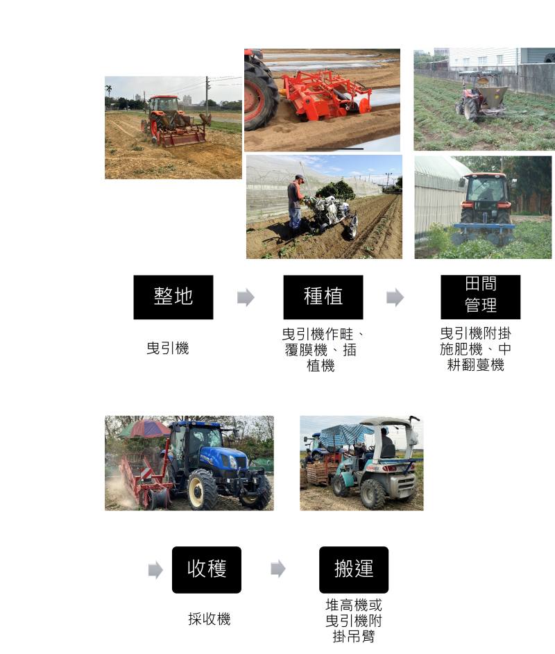 甘藷一貫化栽培作業模式及相關農機說明
