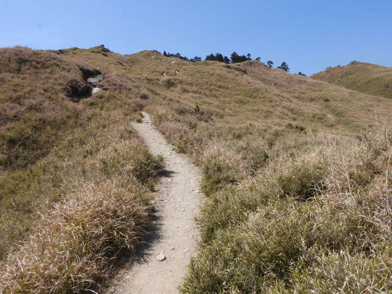 花蓮強震重創太魯閣國家公園，多處步道受損，經太管處人員檢視評估後，決議12日起優先開放合歡山區步道（合歡山主峰、小奇萊、合歡西北峰步道）及小風口、大禹嶺等遊憩據點。圖為小奇萊步道。