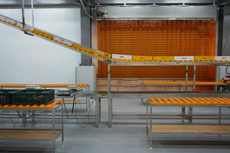朋泉生產合作社冷鏈集貨包裝廠導入冷鏈管理、低溫作業的集貨包裝場域，並搭配後端冷藏運輸車冷鏈系統，可有效提升愛文芒果供貨能力