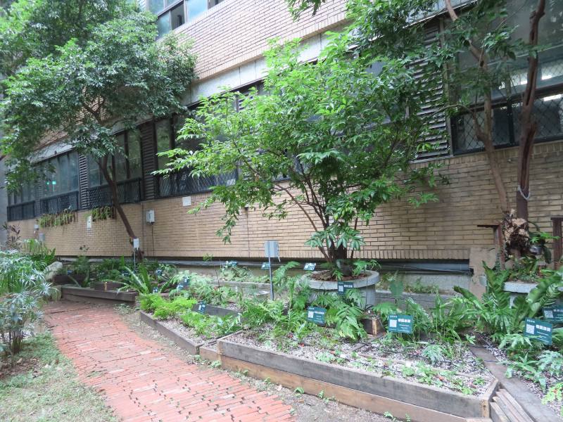 臺北科技大學蕨類試驗校園為全國首座蕨類試驗校園，栽植二十多種蕨類