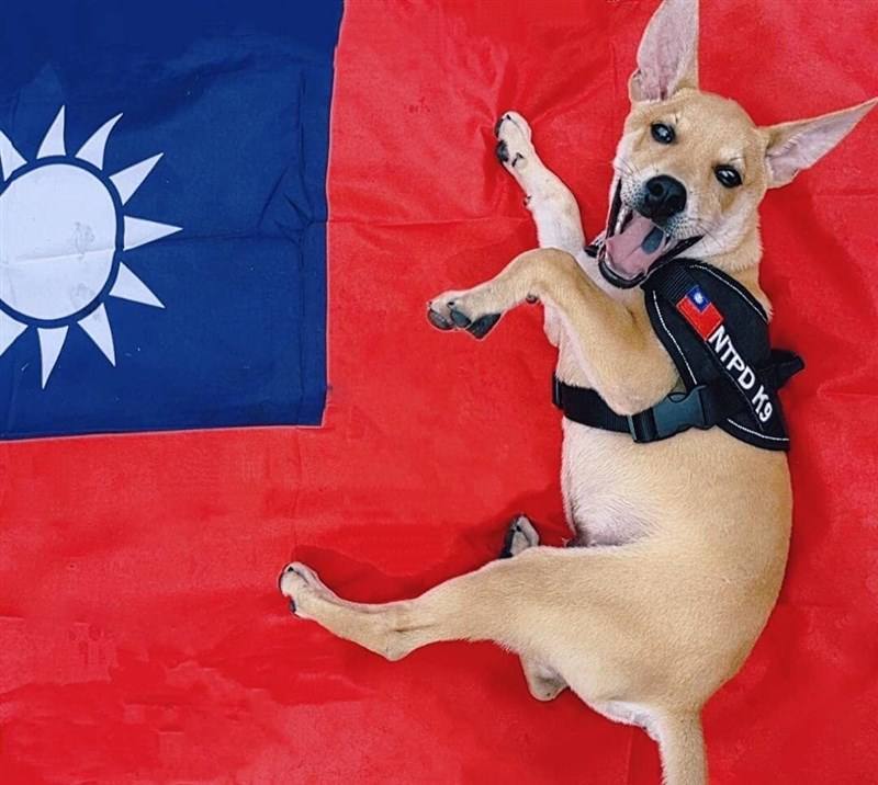 Photo taken from facebook.com/NTPDK9