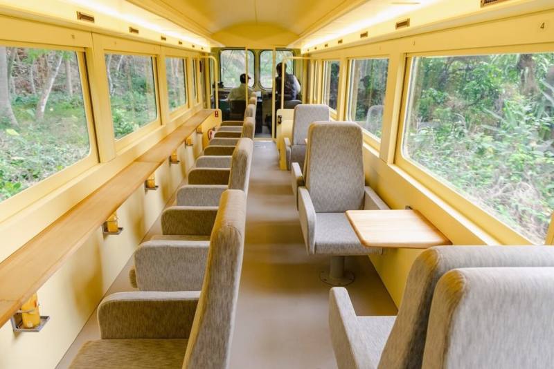 雄獅旅遊營運的新版阿里山林鐵列車「栩悅號Vivid Express」，5月24日將首航，不但有大面窗戶，「瞭望席」的座椅可以360度旋轉，從不同角度欣賞風景，連駕駛室也是360度透明。（雄獅旅遊提供）