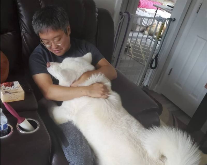 從抵制到為眾秋田犬設立IG帳號及Youtube頻道留念，李逸潔的韓國籍先生趙義賢每週3天通勤6小時往返家裡與辦公室顧狗。（李逸潔提供）