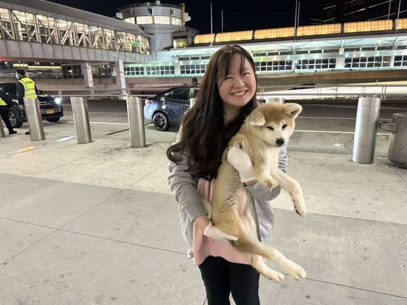 李逸潔一次次自行開車到紐約機場接狗狗，先生看在眼裡，從原先反對到態度軟化，或許是她一句，自己沒有什麼遠大目標，「狗狗就是我的夢想」。圖為李逸潔前往機場接浪浪。（李逸潔提供）