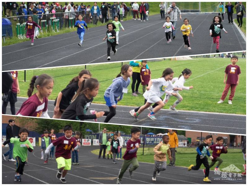 Individual Races (50M, 100M)