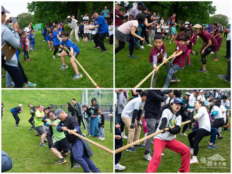 Tug-of-War Competitions