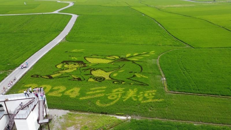 宜蘭縣冬山鄉三奇美徑系列觀光活動10日起登場，其中彩繪稻田以黃、黑、綠3種不同稻米呈現，遊客可從附近的觀景台鳥瞰，將可愛圖案盡收眼底，賞期至6月底稻田收割時結束。（冬山鄉公所提供）