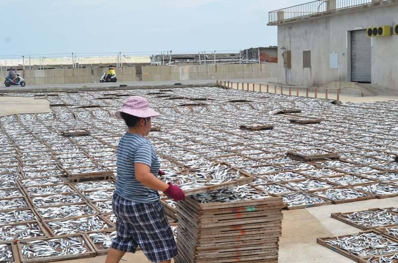 澎湖觀光季登場，馬公市公所17日宣布推出「澎南心動體驗趣2.0」，邀請民眾體驗嵵裡與井垵的曬魚場與敲魚乾等在地特色文化，探訪澎南區豐富海洋文物的魅力