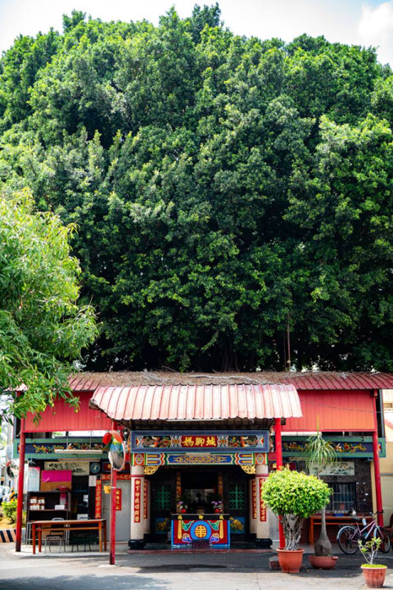 Through his writing, Kevin Chen has brought the charm of Changhua’s Yongjing Township to the wider world.​​