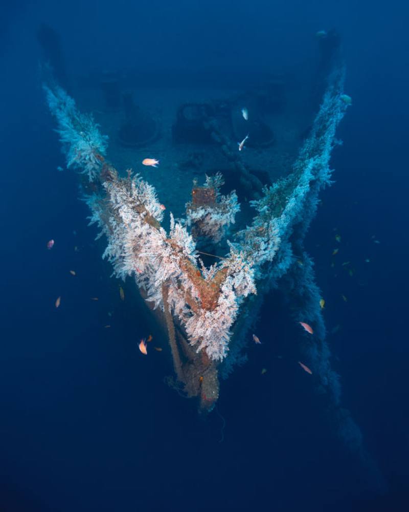 The dock landing ship ROCN Zhong Zheng (LSD-191) was scuttled off the coast of Checheng, Pingtung County after being decommissioned. The photo shows the ship’s bow.​​ (photos by PTS Shipwrecks Taiwan)