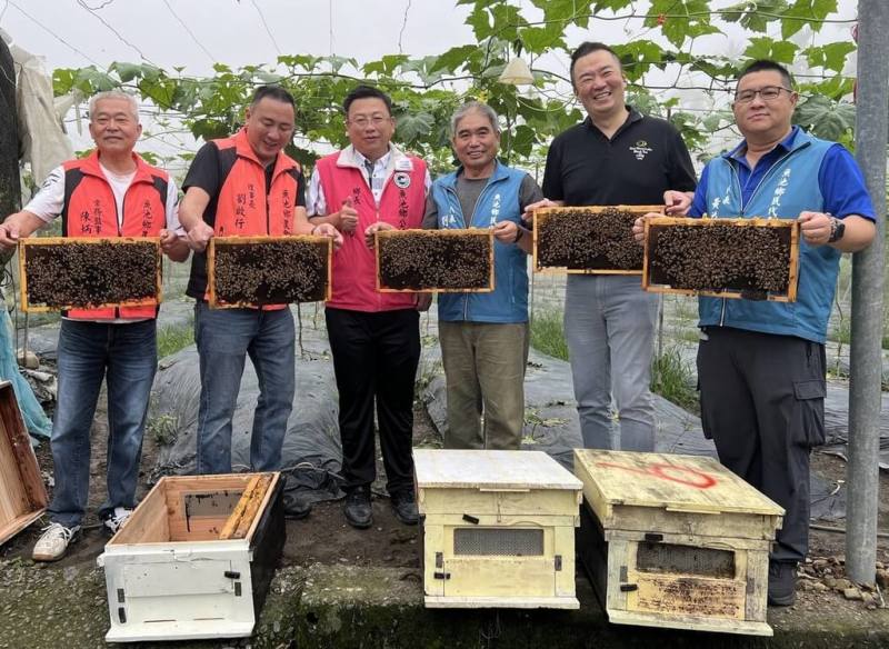 南投縣魚池鄉頭社活盆地是絲瓜重要產區，因瓜類花粉粒黏重，不易靠風傳播，需藉助蜜蜂媒介授粉，才有高結果率及良好果型，鄉公所購買約50萬隻蜜蜂，鄉長劉啟帆（左3）等人前往鄉農會頭社分部放置蜂箱，盼助瓜農提高收益。（魚池鄉農會提供）